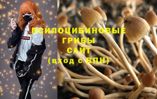 герыч Вязьма