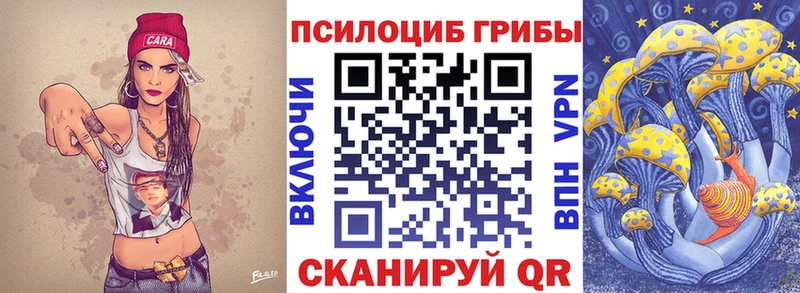 где купить Гуково omg tor Галлюциногенные грибы Cubensis